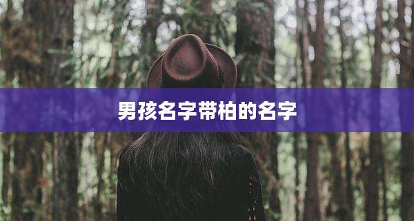男孩名字带柏的名字