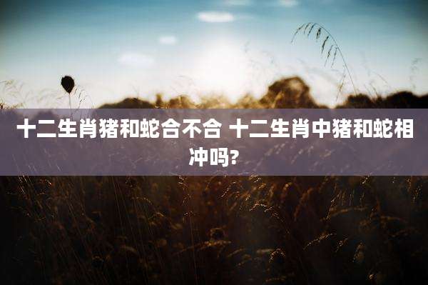 十二生肖猪和蛇合不合 十二生肖中猪和蛇相冲吗?
