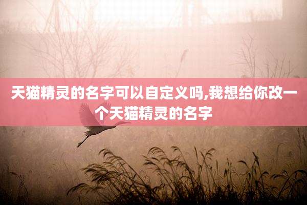 天猫精灵的名字可以自定义吗,我想给你改一个天猫精灵的名字