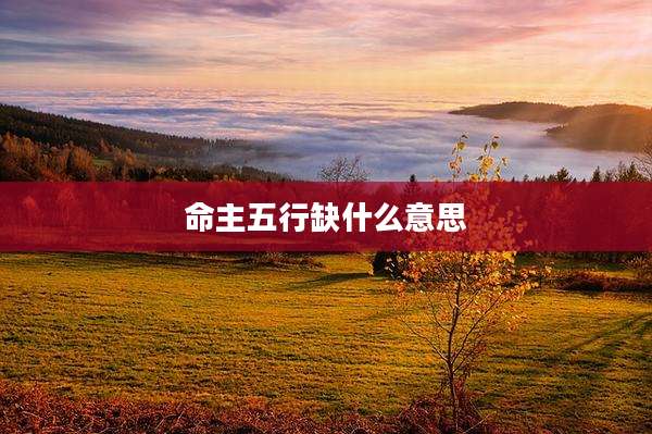 命主五行缺什么意思