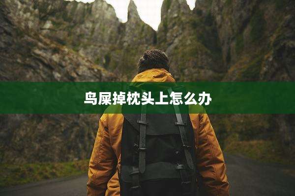 鸟屎掉枕头上怎么办