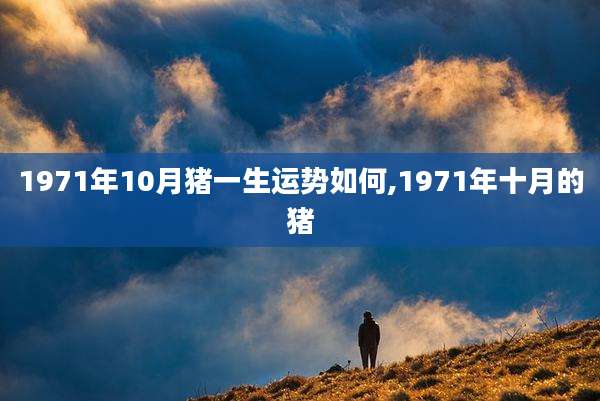 1971年10月猪一生运势如何,1971年十月的猪