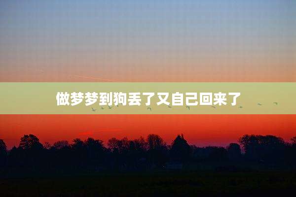 做梦梦到狗丢了又自己回来了