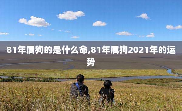 81年属狗的是什么命,81年属狗2021年的运势