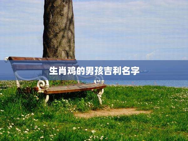 生肖鸡的男孩吉利名字