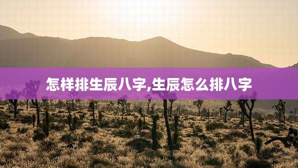 怎样排生辰八字,生辰怎么排八字