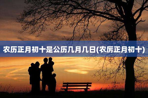 农历正月初十是公历几月几日(农厉正月初十)
