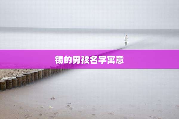 锡的男孩名字寓意
