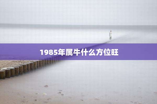 1985年属牛什么方位旺