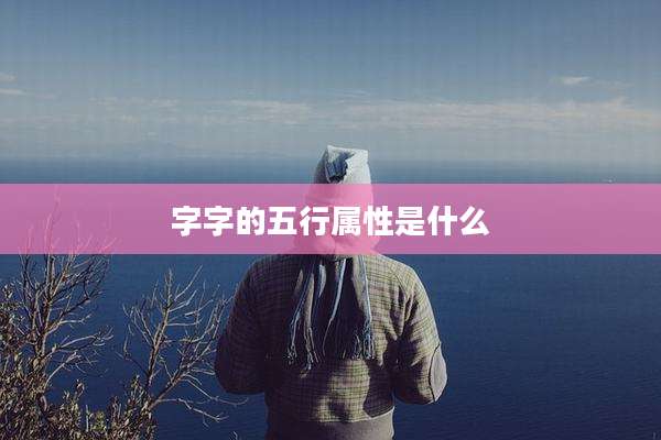字字的五行属性是什么