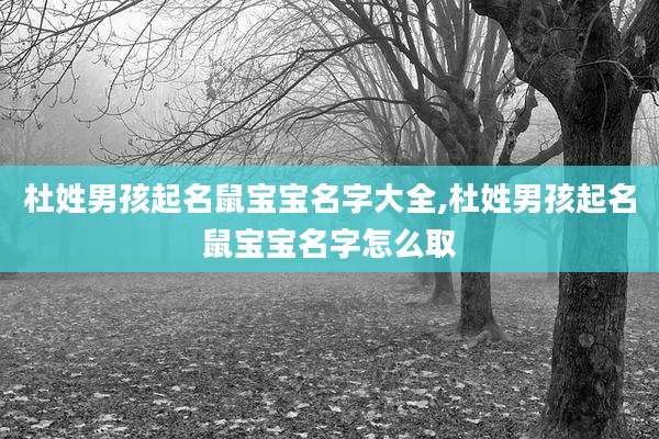 杜姓男孩起名鼠宝宝名字大全,杜姓男孩起名鼠宝宝名字怎么取