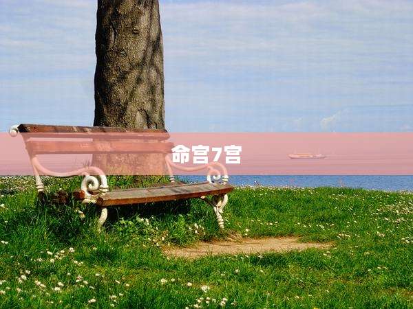 命宫7宫