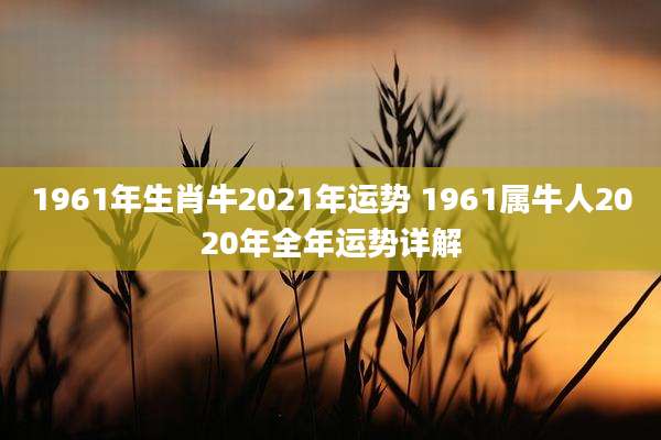 1961年生肖牛2021年运势 1961属牛人2020年全年运势详解