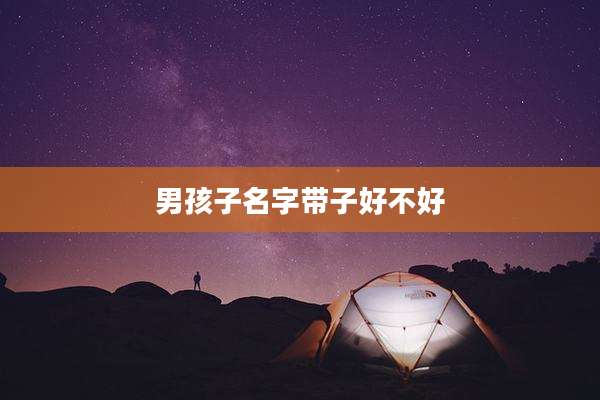 男孩子名字带子好不好