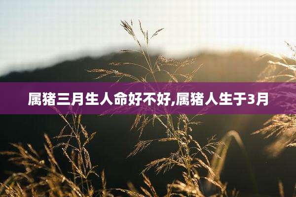 属猪三月生人命好不好,属猪人生于3月