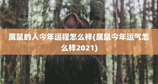 属鼠的人今年运程怎么样(属鼠今年运气怎么样2021)