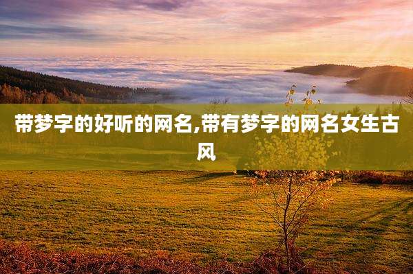 带梦字的好听的网名,带有梦字的网名女生古风