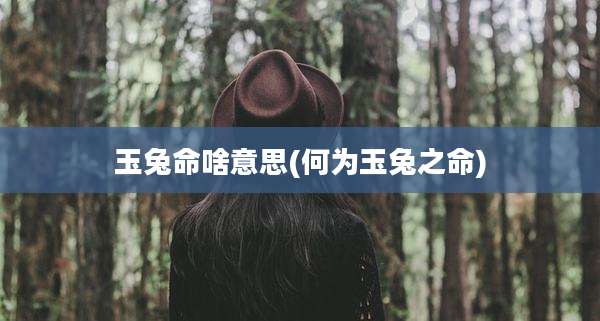 玉兔命啥意思(何为玉兔之命)