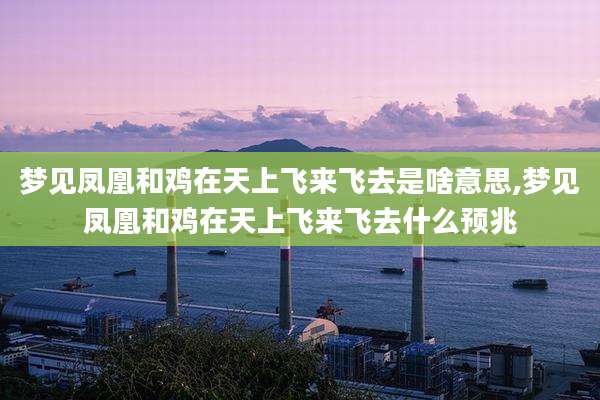 梦见凤凰和鸡在天上飞来飞去是啥意思,梦见凤凰和鸡在天上飞来飞去什么预兆