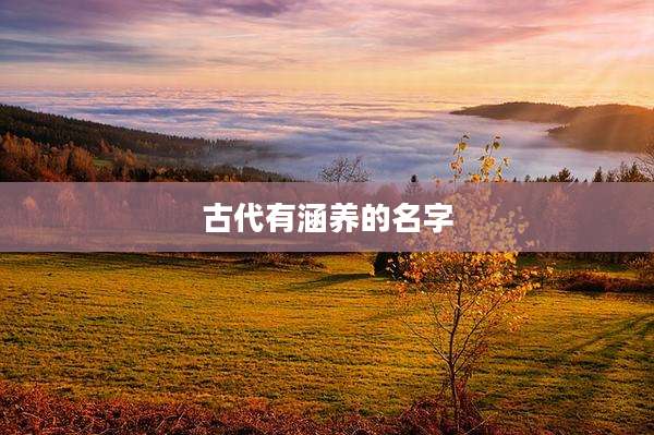 古代有涵养的名字