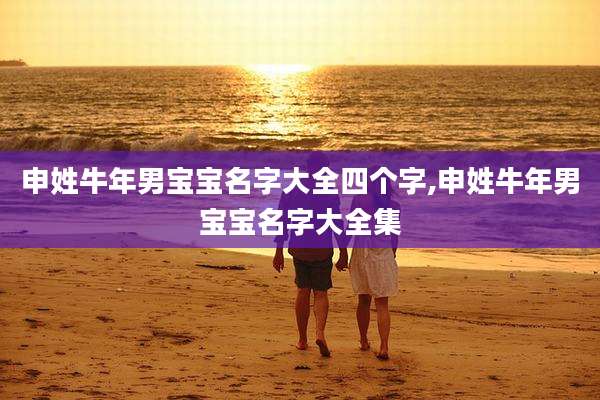 申姓牛年男宝宝名字大全四个字,申姓牛年男宝宝名字大全集