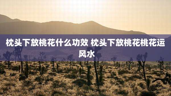 枕头下放桃花什么功效 枕头下放桃花桃花运 风水