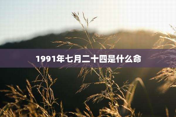 1991年七月二十四是什么命