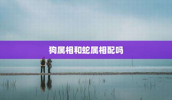 狗属相和蛇属相配吗
