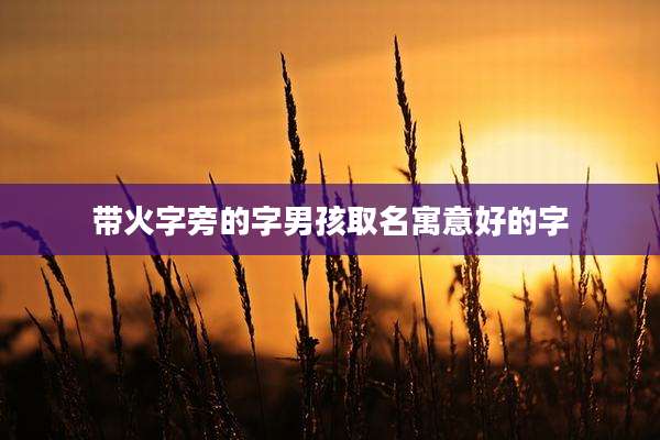 带火字旁的字男孩取名寓意好的字