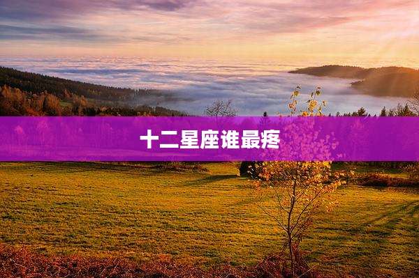 十二星座谁最疼