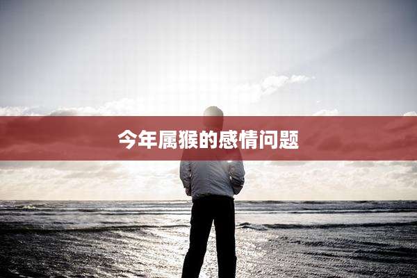 今年属猴的感情问题