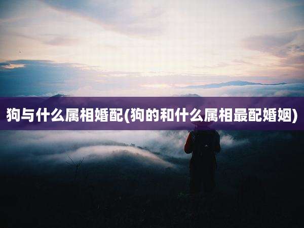 狗与什么属相婚配(狗的和什么属相最配婚姻)