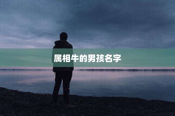 属相牛的男孩名字