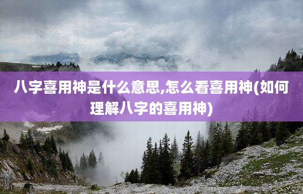 八字喜用神是什么意思,怎么看喜用神(如何理解八字的喜用神)