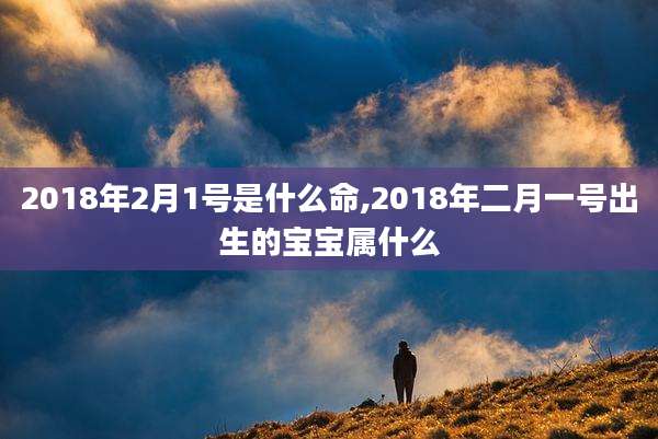 2018年2月1号是什么命,2018年二月一号出生的宝宝属什么