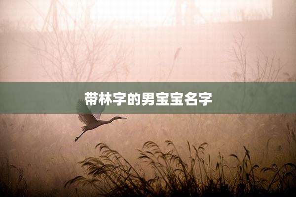 带林字的男宝宝名字