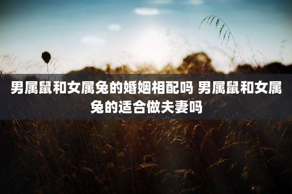 男属鼠和女属兔的婚姻相配吗 男属鼠和女属兔的适合做夫妻吗