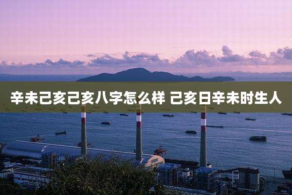 辛未己亥己亥八字怎么样 己亥日辛未时生人