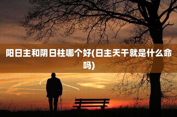 阳日主和阴日柱哪个好(日主天干就是什么命吗)
