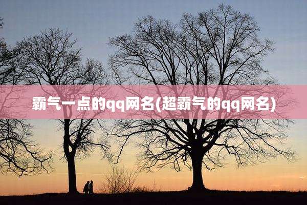 霸气一点的qq网名(超霸气的qq网名)