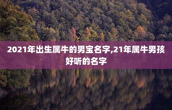 2021年出生属牛的男宝名字,21年属牛男孩好听的名字