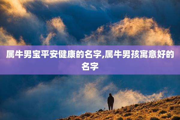 属牛男宝平安健康的名字,属牛男孩寓意好的名字