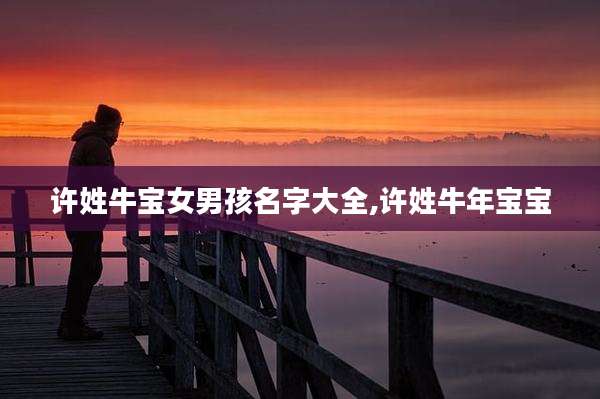 许姓牛宝女男孩名字大全,许姓牛年宝宝