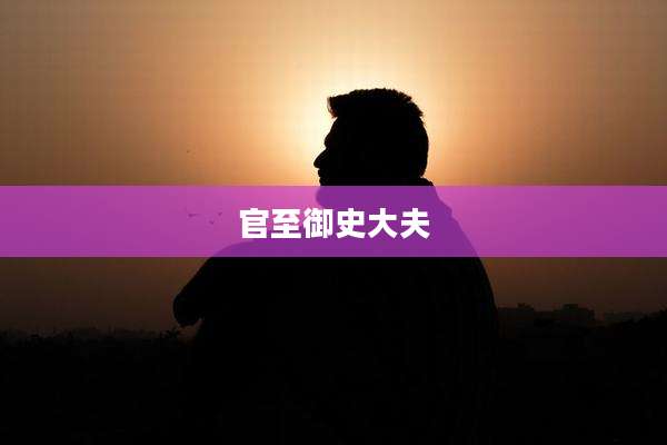 官至御史大夫