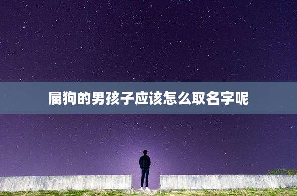 属狗的男孩子应该怎么取名字呢