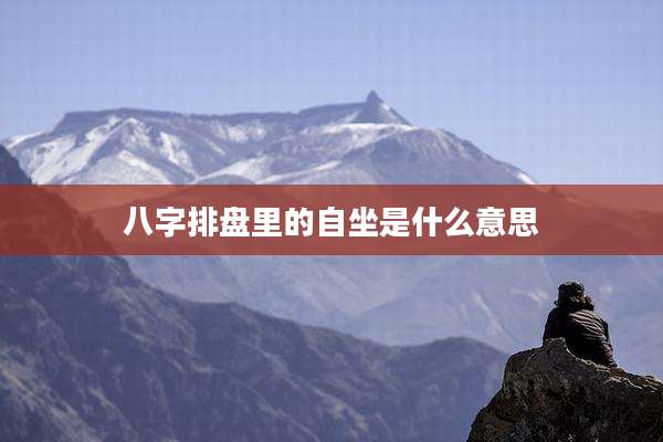 八字排盘里的自坐是什么意思