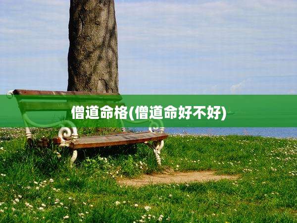 僧道命格(僧道命好不好)
