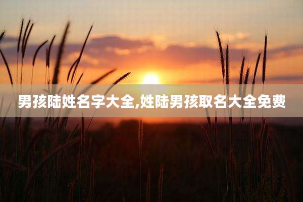 男孩陆姓名字大全,姓陆男孩取名大全免费