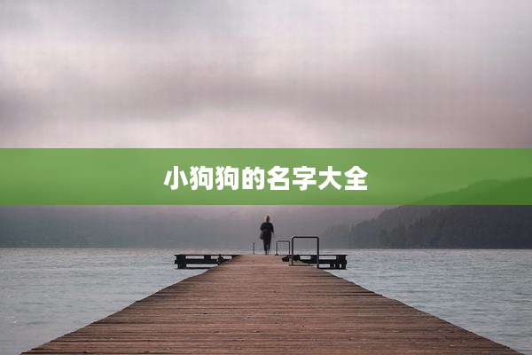 小狗狗的名字大全