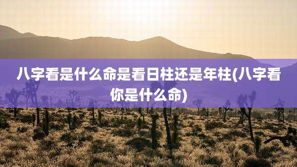 八字看是什么命是看日柱还是年柱(八字看你是什么命)